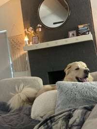 Thor - Photo 4