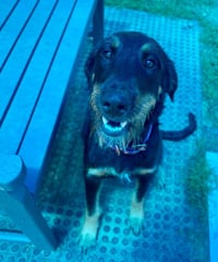 Bella - Photo 4