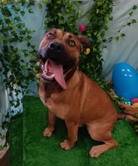 John Wayne - Photo 1