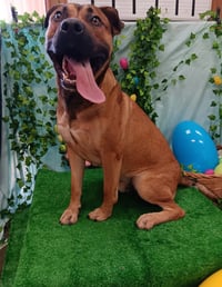 John Wayne - Photo 2