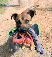 John Wayne - Photo 3