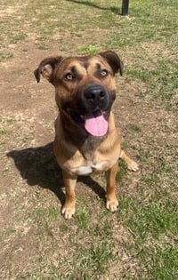 John Wayne - Photo 4