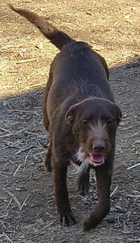 Bonnie - Photo 3