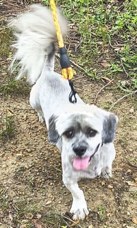 Tucker - Photo 3