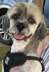Tucker - Photo 2