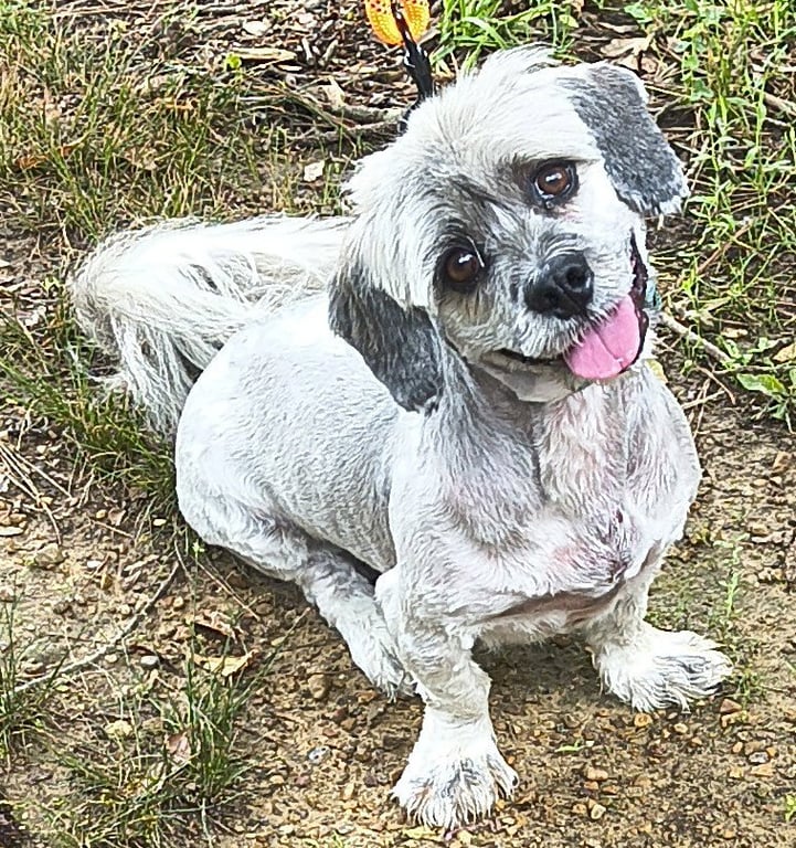 Tucker Image