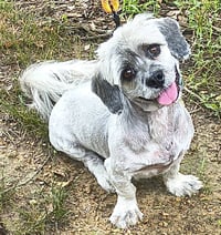 Tucker - Photo 1