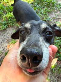 Charlie - Photo 3