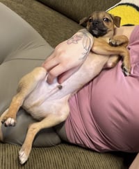 Luigi - Photo 10