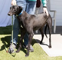 Igor - Photo 2