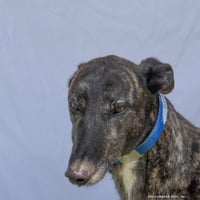 Barry - Photo 1