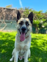 Zeus - Photo 1