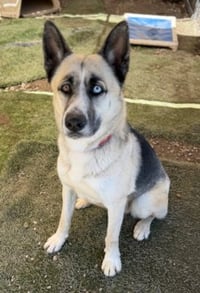Zeus - Photo 3