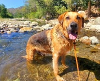 Twix - Photo 3