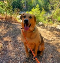 Twix - Photo 2