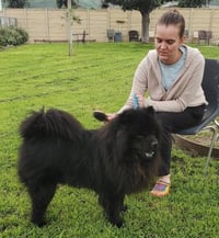 Leo (Chow) - Photo 3