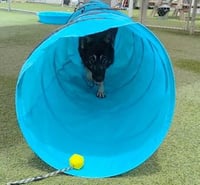 Maverick - Photo 3