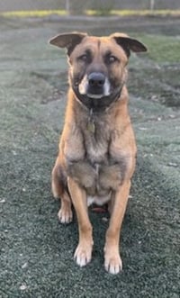 Otis - Photo 2