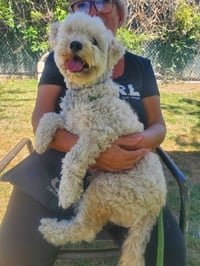 Duffy - Photo 3