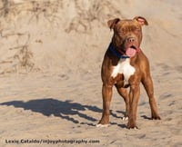 Brown Sugar - Photo 3