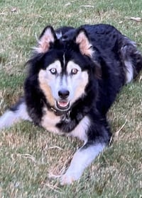 Sakari - Photo 10
