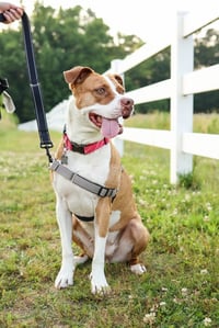 Emma - Photo 8