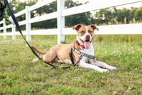 Emma - Photo 5