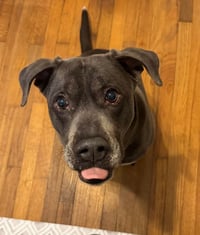 Cooper - Photo 24