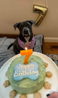 Cooper - Photo 8
