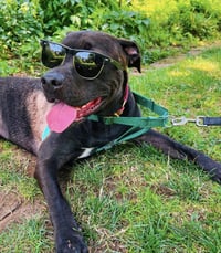 Astro - Photo 1