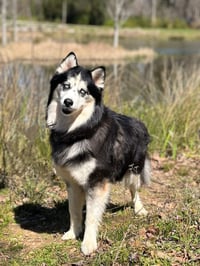 Kino - Photo 1