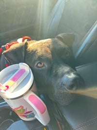 Bubba - Photo 9