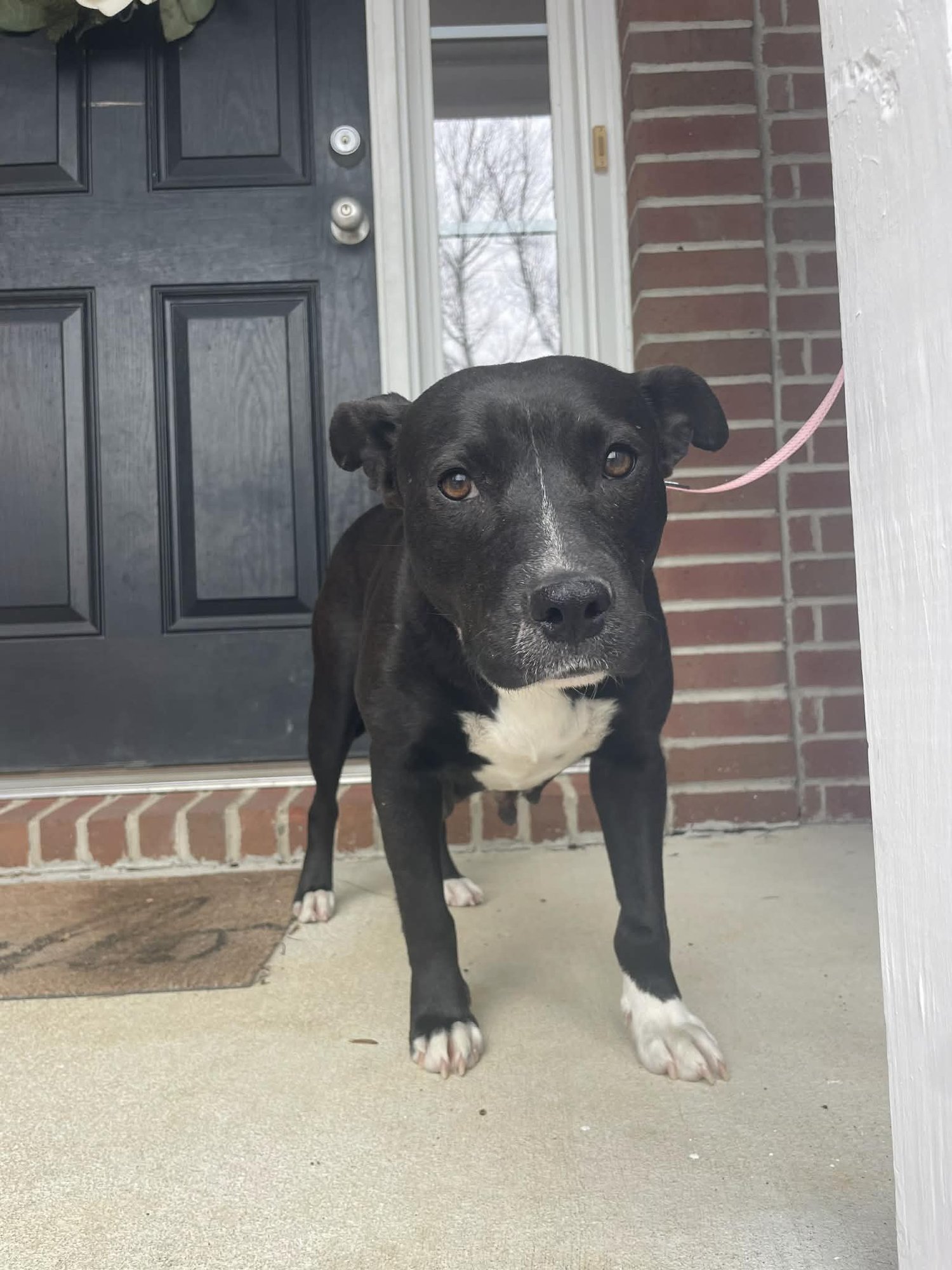 Mary-Merry - Photo 3