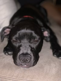 Kamara - Photo 8