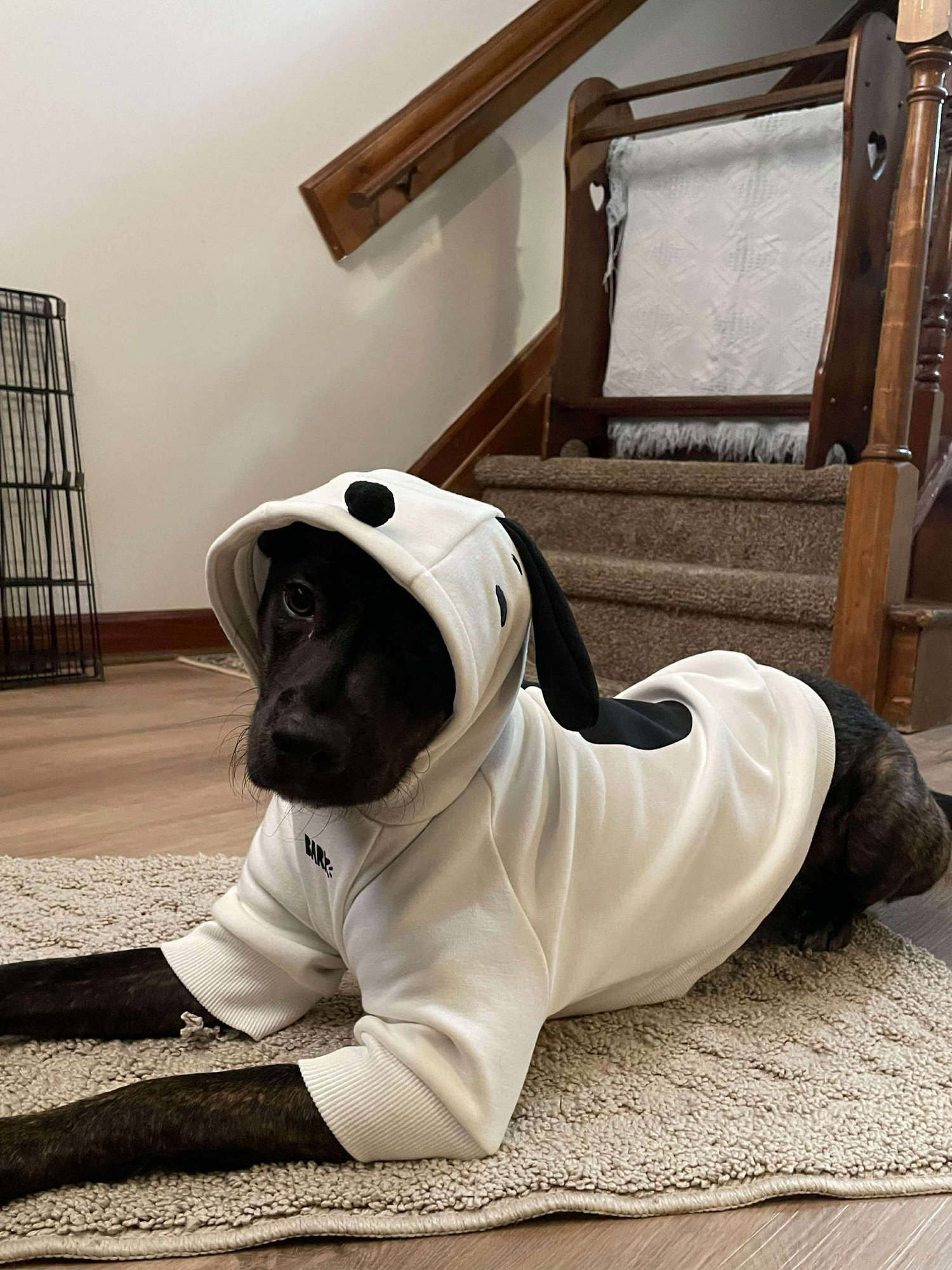 Tiger Lily AKA Remi - Photo 4