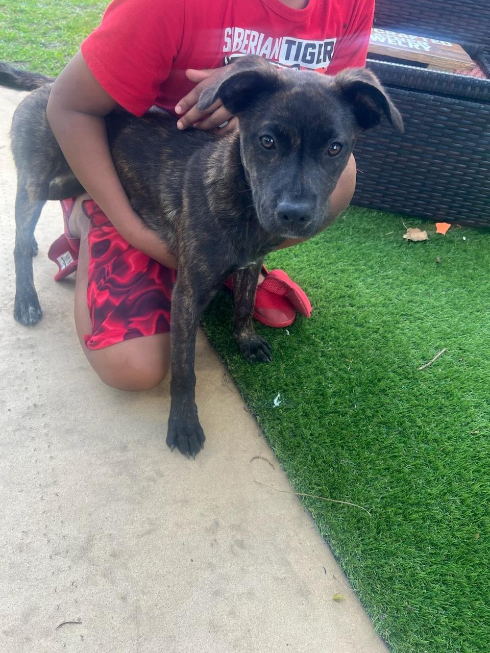 Tiger Lily AKA Remi - Photo 6