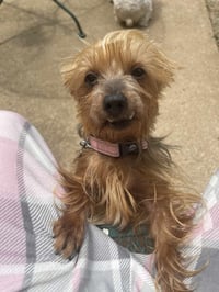 Tilly - Photo 5