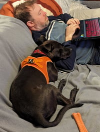 Buddy - Photo 14