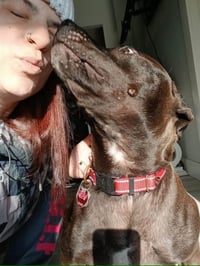 Buddy - Photo 19