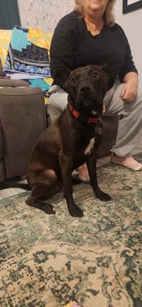Buddy - Photo 5