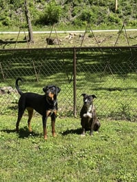 Brinnie (Courtesy) - Photo 4