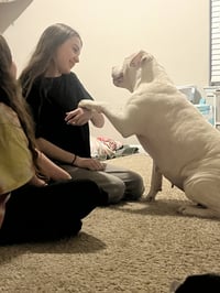Sadie Mae - Photo 9