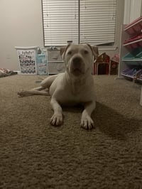 Sadie Mae - Photo 8