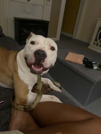 Kiya - Photo 2