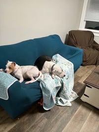 Gravy (Mama) - Photo 3