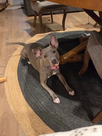 Stormy - Photo 3