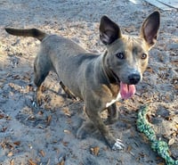 Stormy - Photo 12