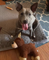 Stormy - Photo 11