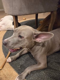 Stormy - Photo 18