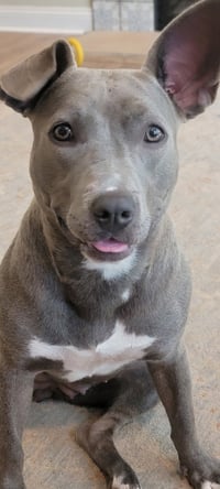 Stormy - Photo 5
